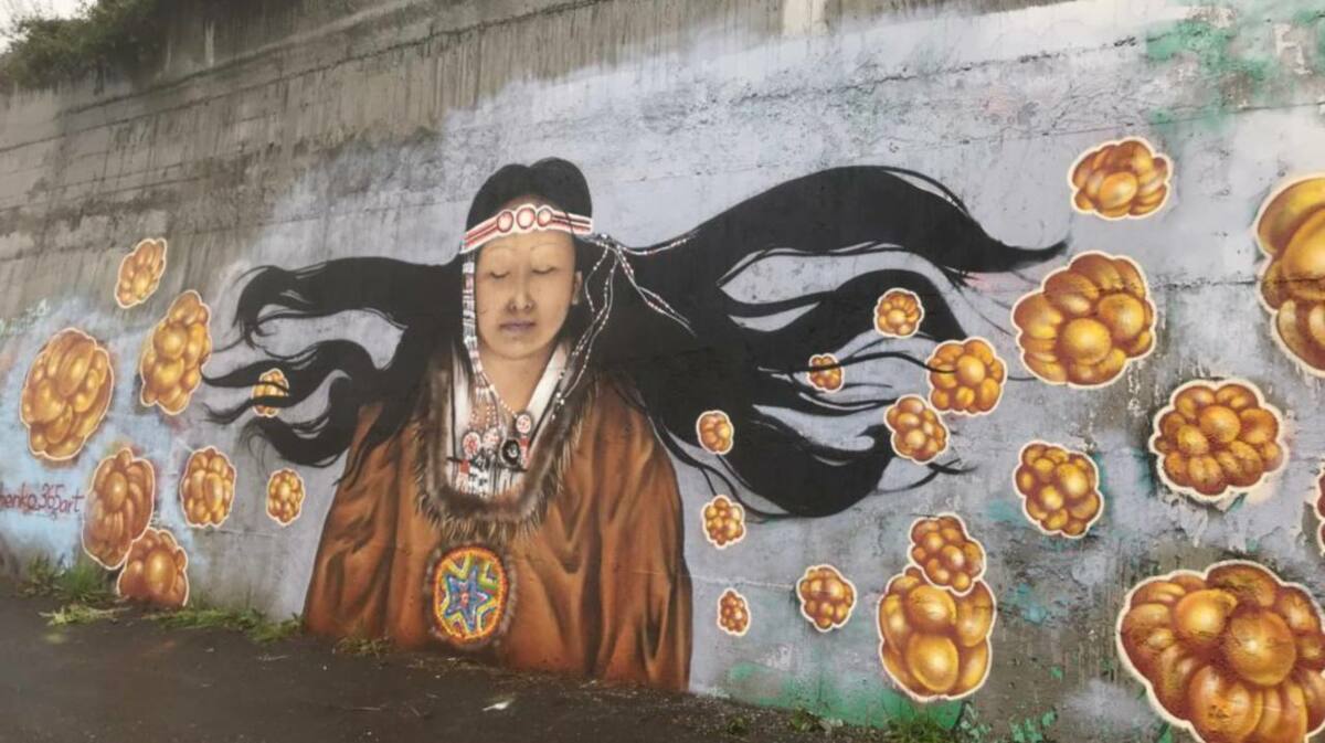 Фонд камчатского краевого архива пополнился новыми фотодокументами уличного стрит-арта 